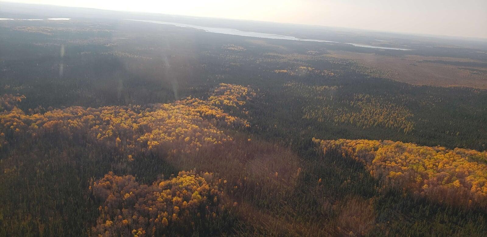 Ontario Landscape