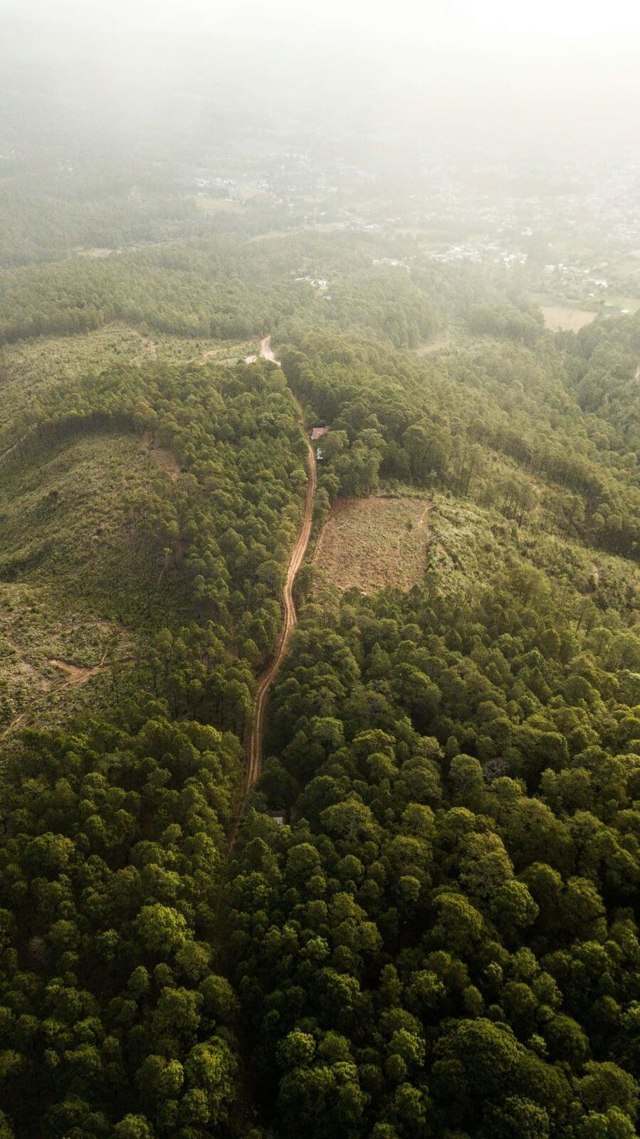 Nakina Landscape